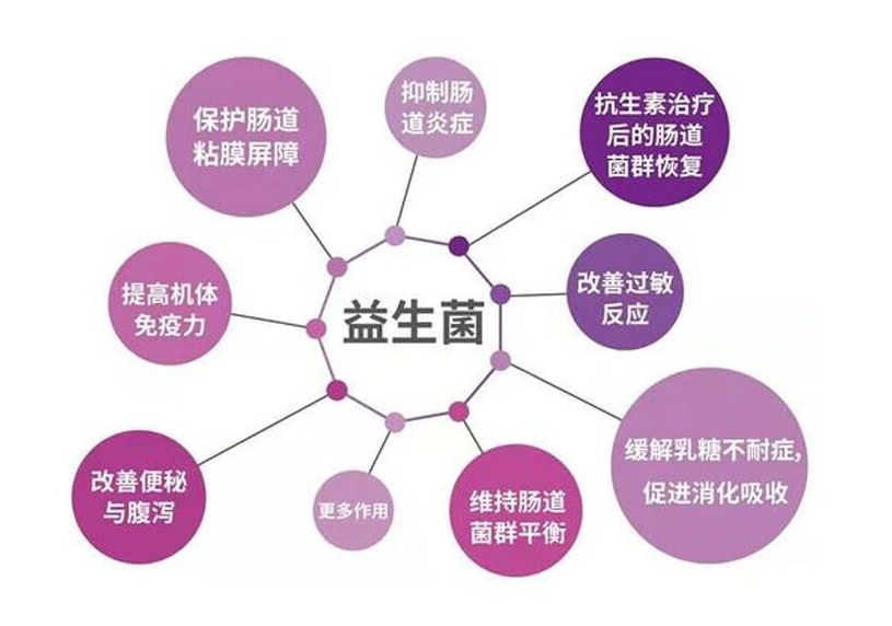 图片 2.png