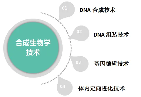 合成生物技术原理及核心技术08.png