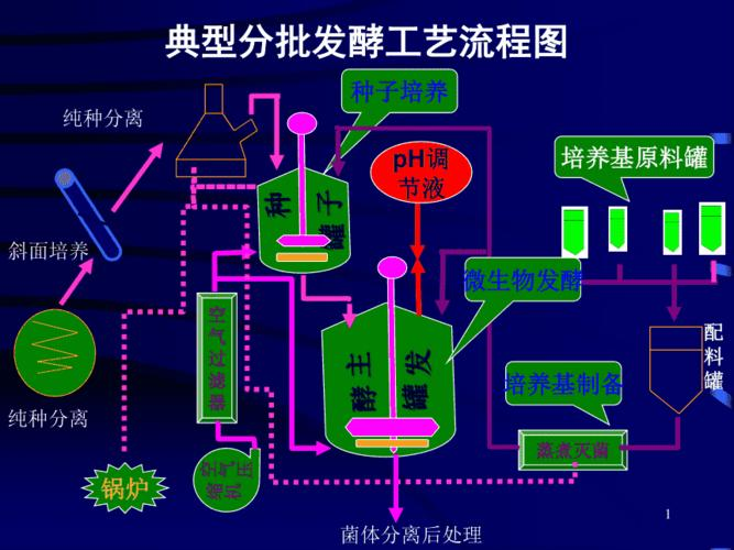 合成生物技术原理及核心技术10.png