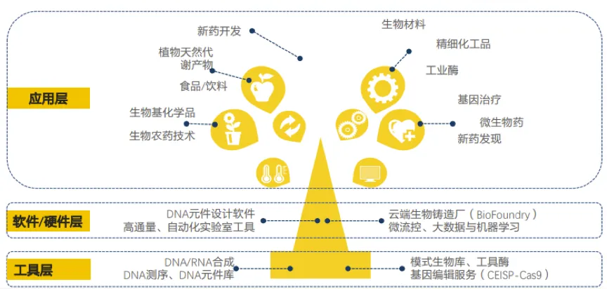 合成生物技术原理及核心技术06.png