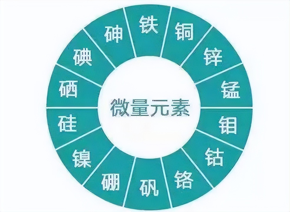 图片 3.png